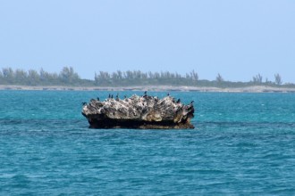 To Crab Cay