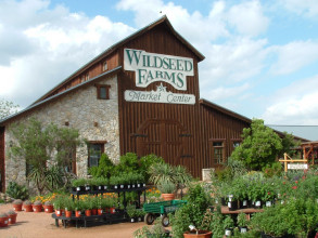 Wildseed Farms